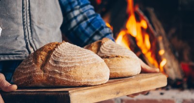 Two loaves of round bread from a wood-fired oven in the background, on a wood bread board held by person in a blue plaid shirt